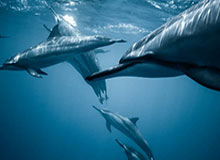 keywords：必一运动,健康生活,日常习惯,身体管理,运动激励,社群力量part1：小必一运动的起点——觉醒与习惯的种子当下的城市生活，常常让人把身体放在次要的位置。长时间的坐姿、蜂拥的日常任务、无处不在的屏幕光，会让肌肉变得僵硬，注意力像经常被闹钟打断的信号灯一样忽明忽暗。